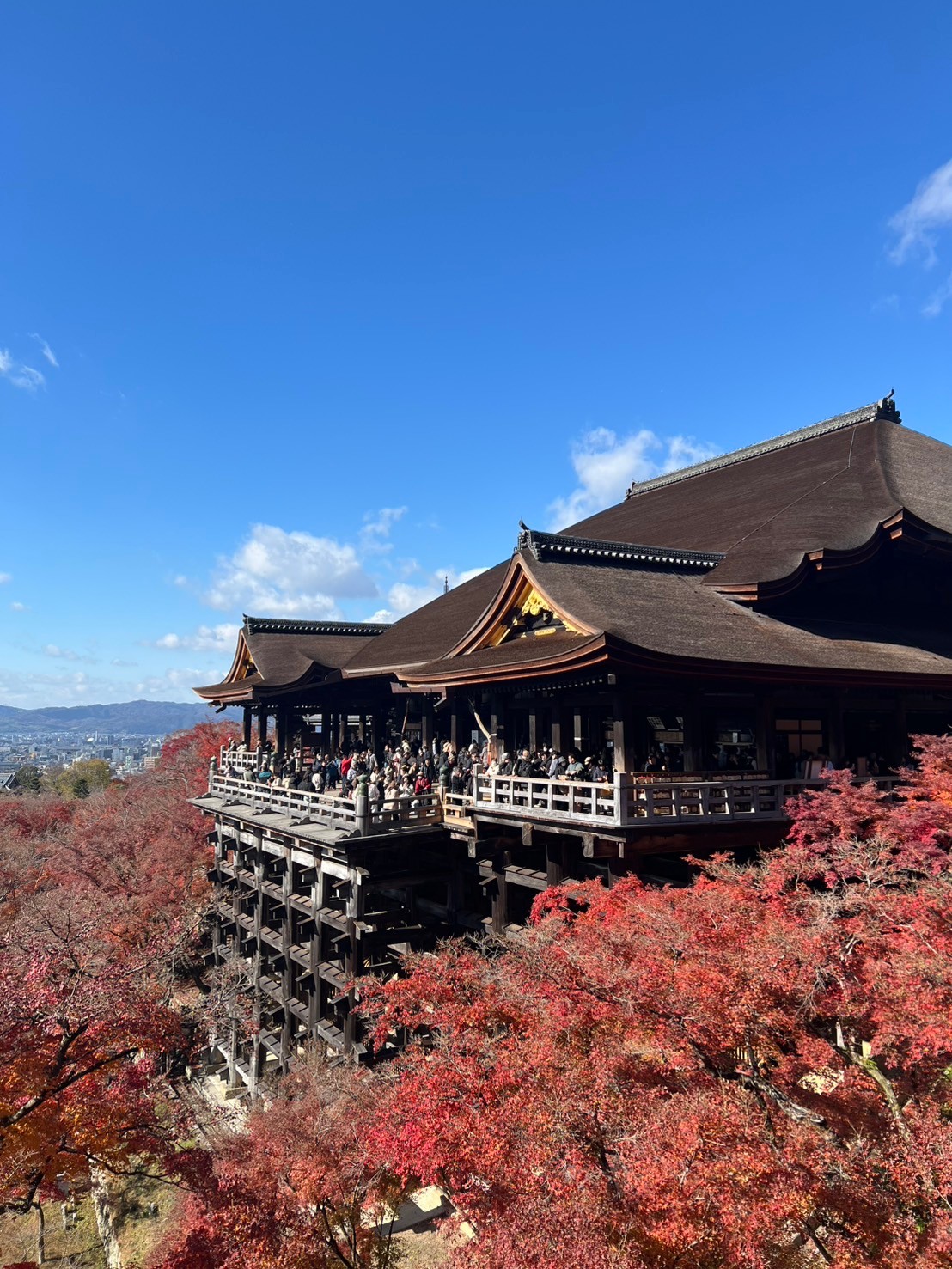 京都　祇園、清水寺フィールドワーク(地歴部)