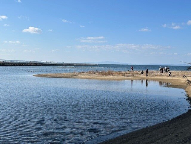 【生物同好会】打ち上げ貝拾い at二色浜